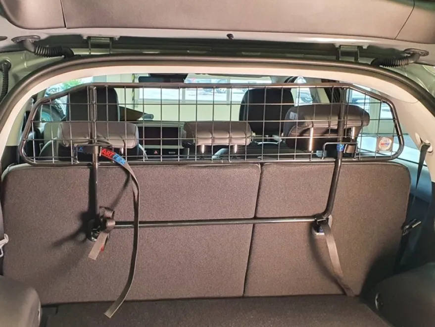 Artfex Lastgaller / Hundgaller Hyundai Ioniq 5 2022->