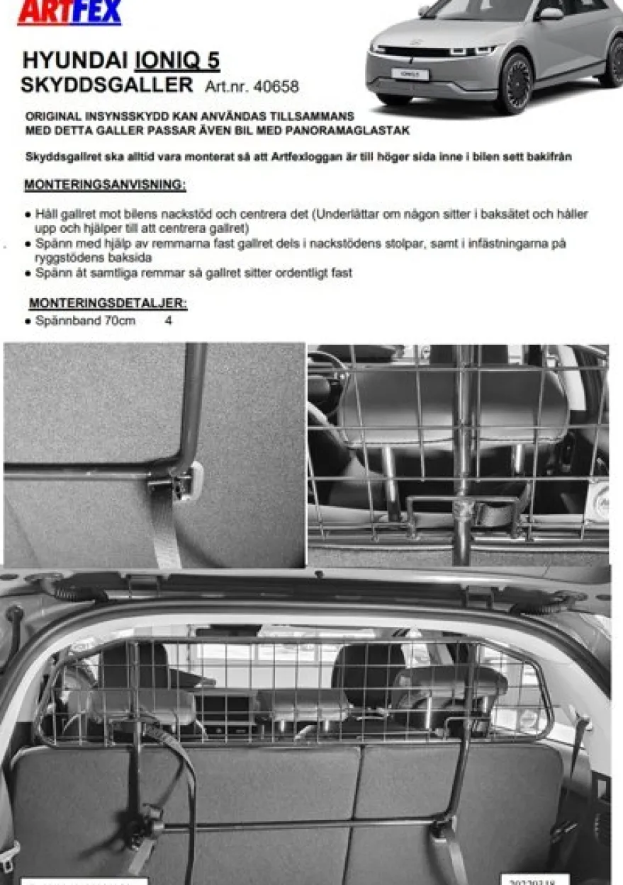 Artfex Lastgaller / Hundgaller Hyundai Ioniq 5 2022->