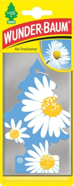 Doftgran Wunderbaum Daisy Flower