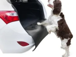 Stötfångarskydd För Hund - Barry